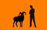 BIG PREY - The Dall Sheep 6073705